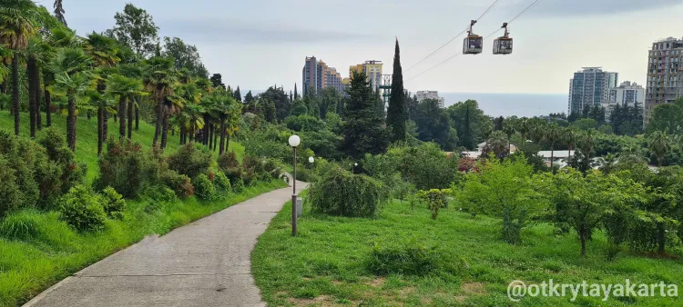 Зелёное сердце Сочи - Дендрарий