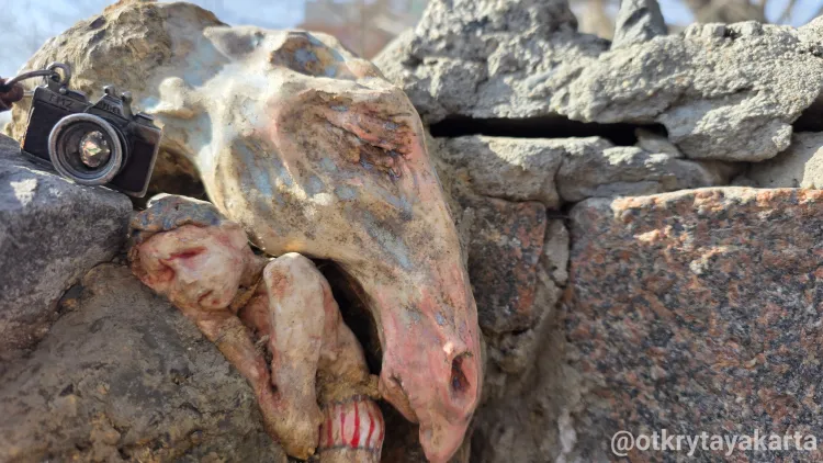 Заплатки города: жизнь в трещинах