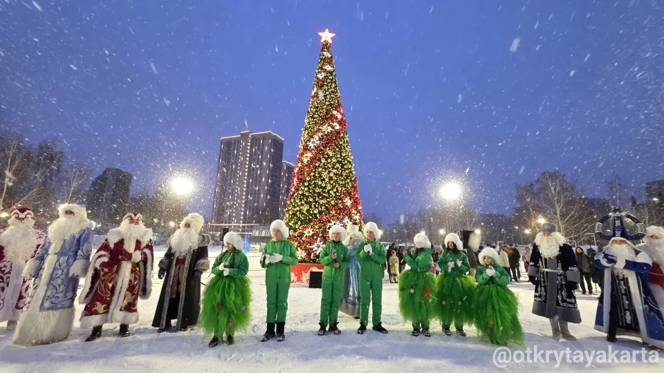 Новосибирск в ёлках