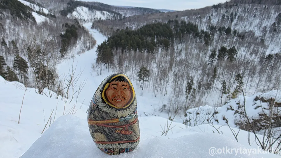 Зимний Зверобой