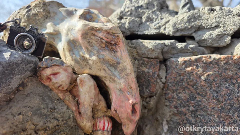 Заплатки города: жизнь в трещинах